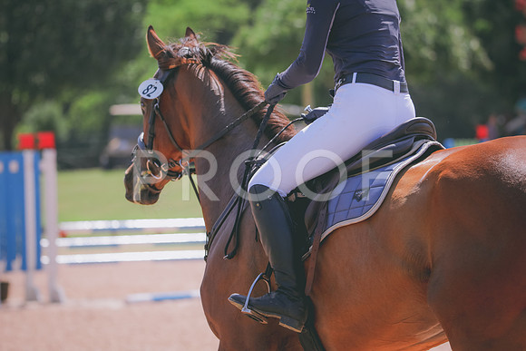 RWP_5206