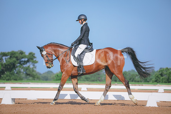 RWP_3864