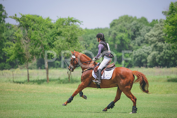 RWP_2895