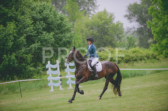 JJS_8418