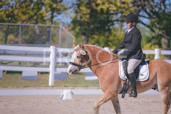 HLJ_3001