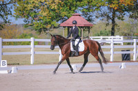 HLJ_3016