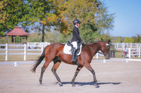 HLJ_3019