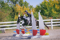 HLJ_9190