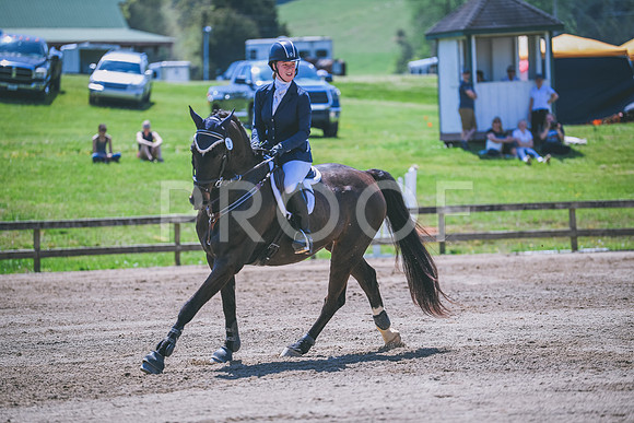 MEL_1174