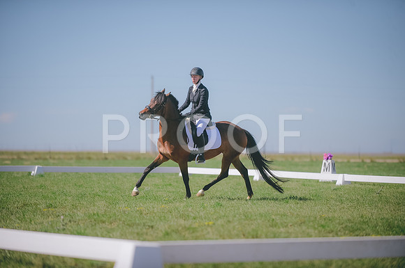 JJS_2336