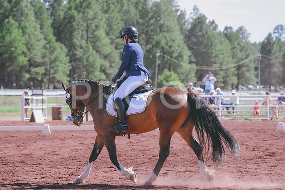 DSC_6917