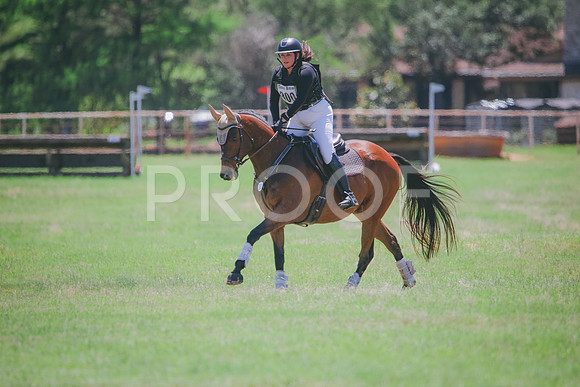 RWP_0816