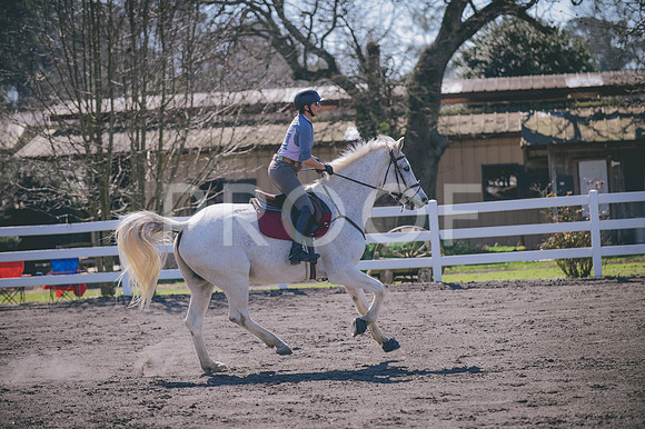 JJS_0095A