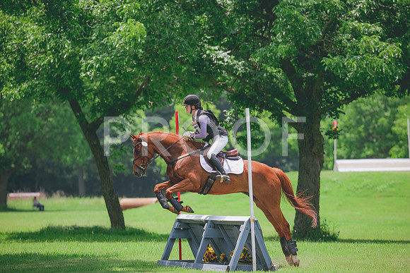 RWP_2910