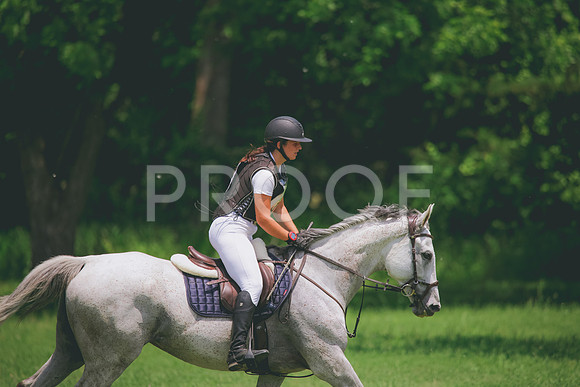 RWP_3625