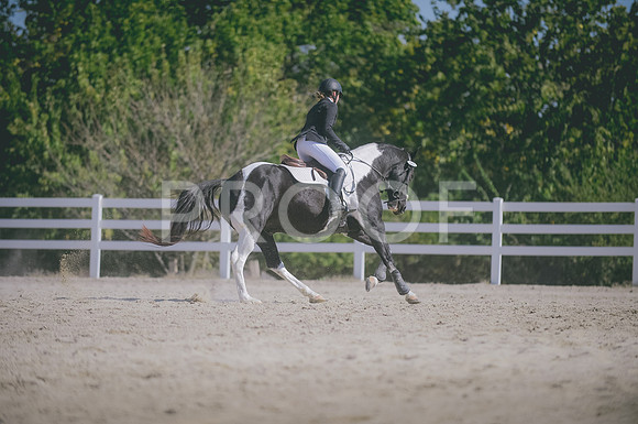 JJS_3221