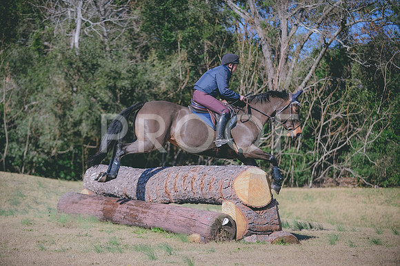 JJS_0182