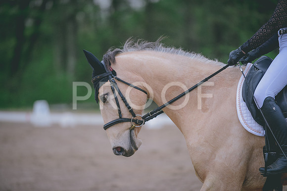 JJS_5481