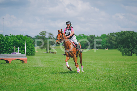H8U09991