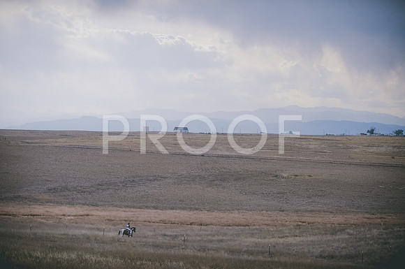 JJS_4265