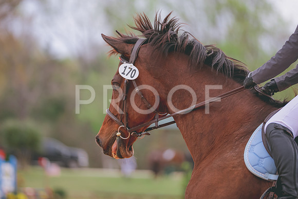 JC5_5394