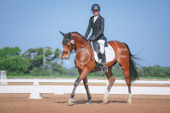 RWP_3862