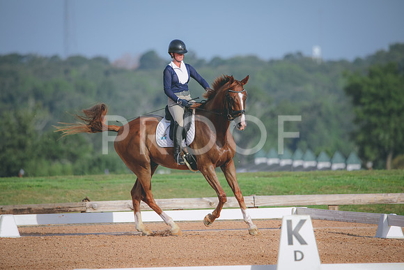RWP_4438