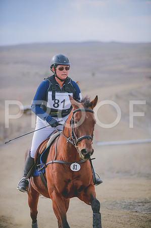 JJS_3592