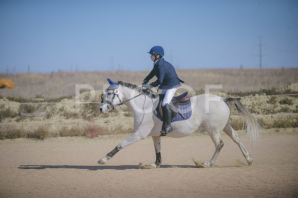 JJS_3861