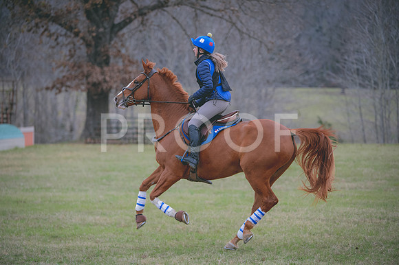 JJS_0478