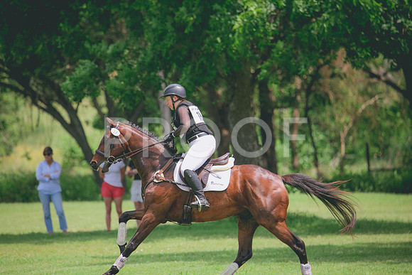 RWP_2015