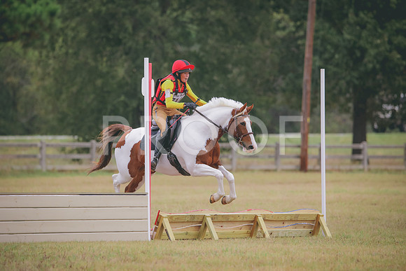 RWP_3845