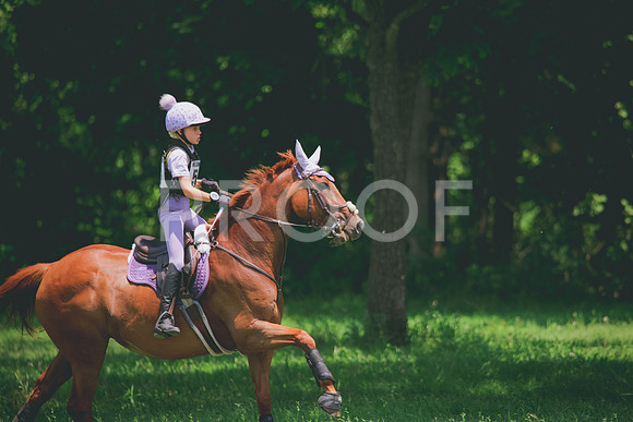 RWP_3726