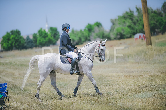 JJS_8430