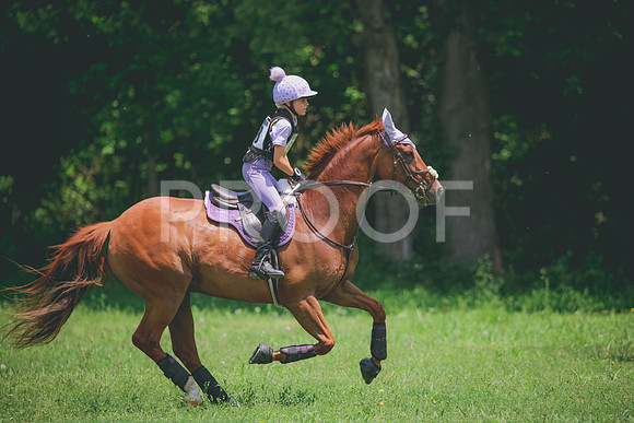 RWP_3733