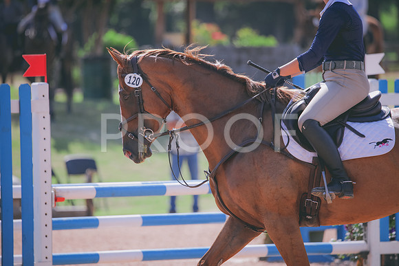 RWP_4835