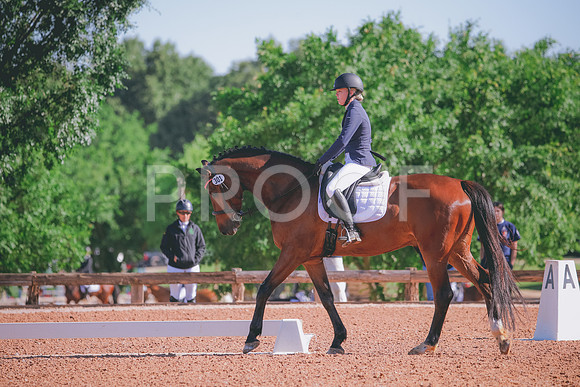 RWP_9496