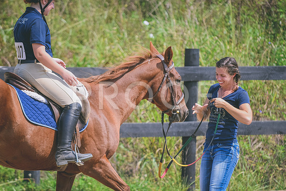 DSC_8971