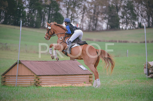 JJS_0225