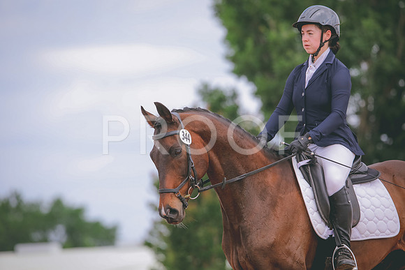 RWP_4209