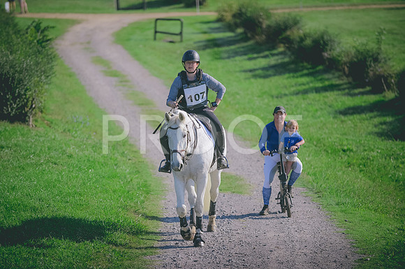 JJS_2770