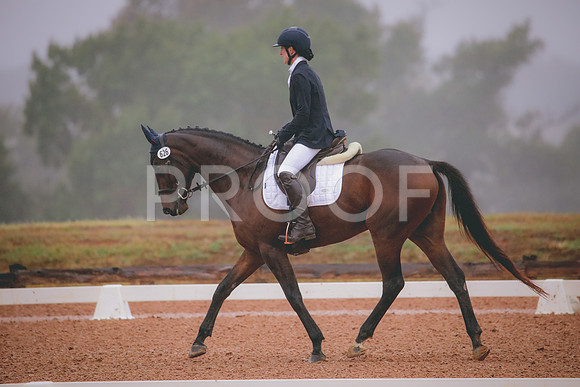 RWP_0736