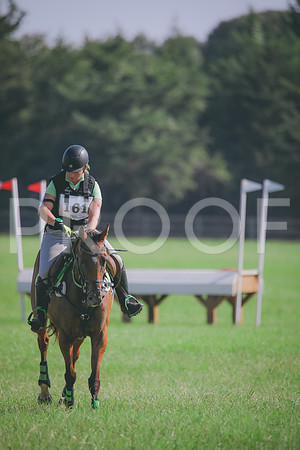 RWP_6317