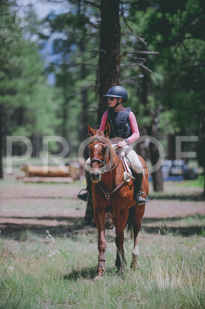 JJS_8001