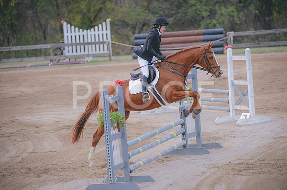 JJS_3183