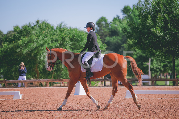 RWP_9545