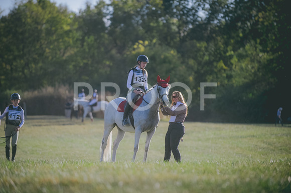 JJS_1399