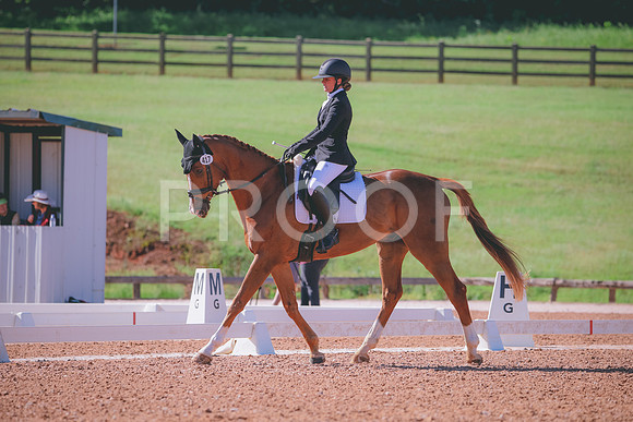 RWP_9619