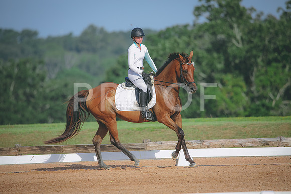 RWP_4477