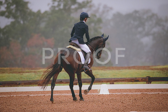 RWP_0785