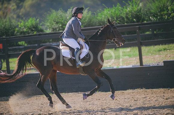 JJS_7513