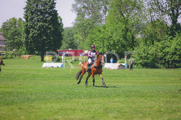 0N0A1401