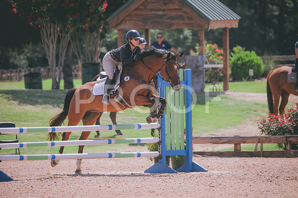 RWP_5180