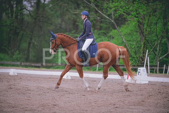 JJS_7463